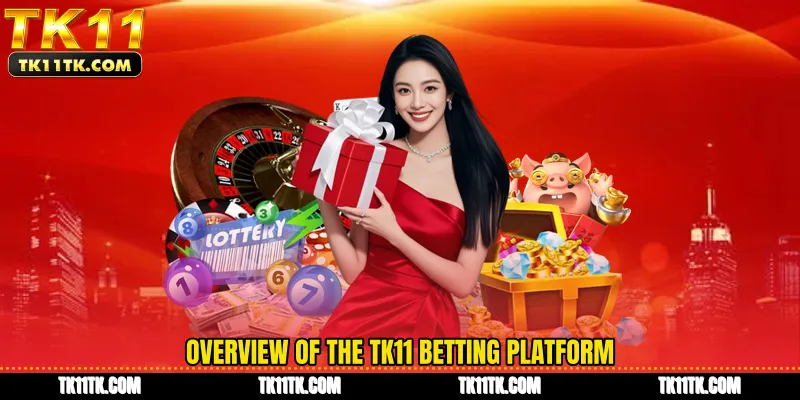 Overview of the TK11 betting platform