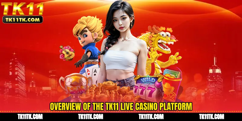 Overview of the TK11 Live Casino platform