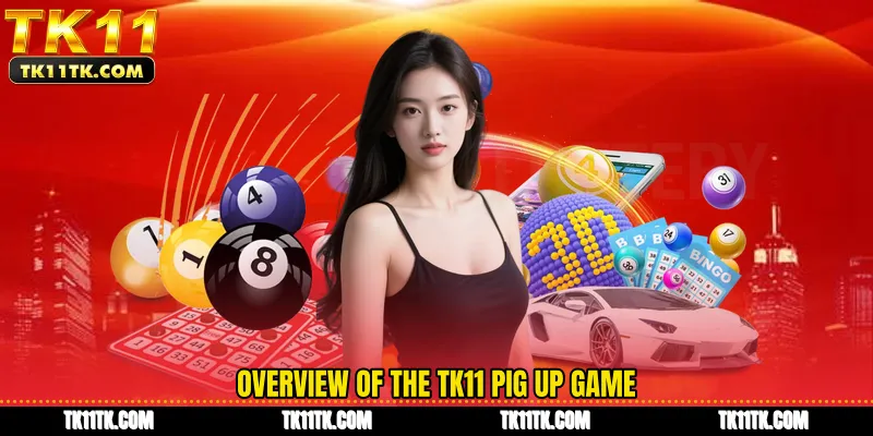 Overview of the TK11 Pig Up game