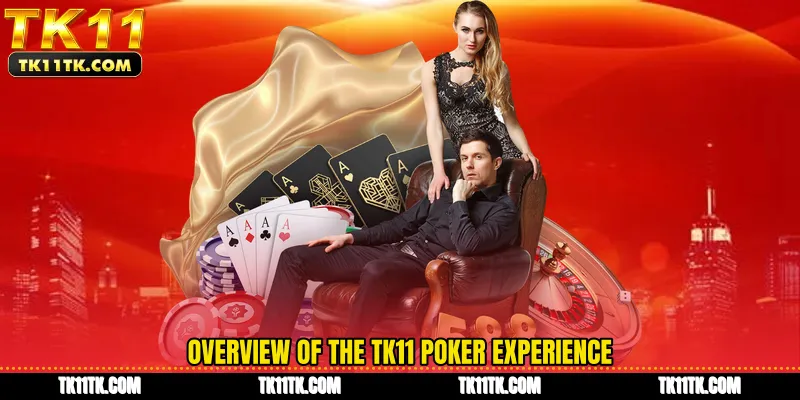 Overview of the TK11 Poker experience