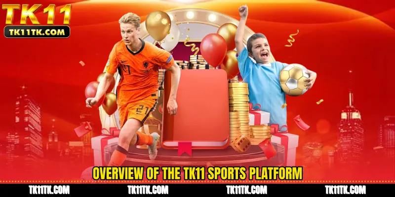 Overview of the TK11 Sports platform