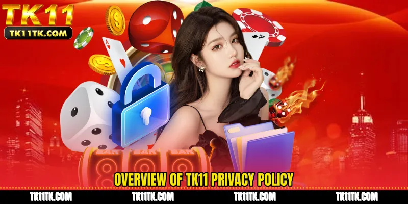 Overview of TK11 Privacy Policy