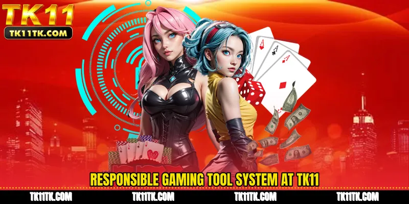 Responsible Gaming tool system at TK11