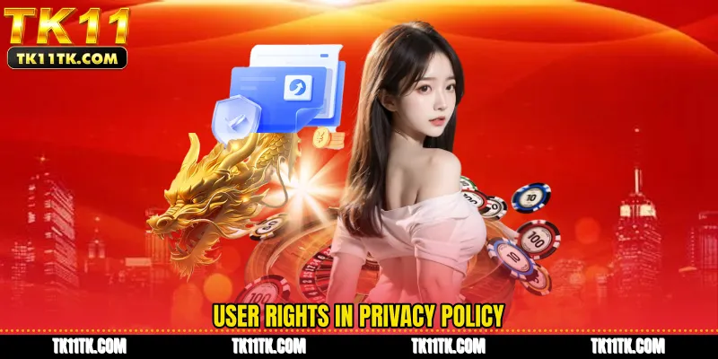 User rights in Privacy Policy